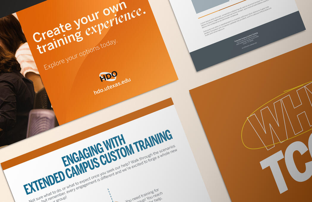 Extended Education Ventures